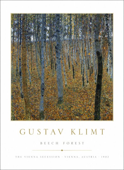 Klimt Beech Forest No1 - Juliste