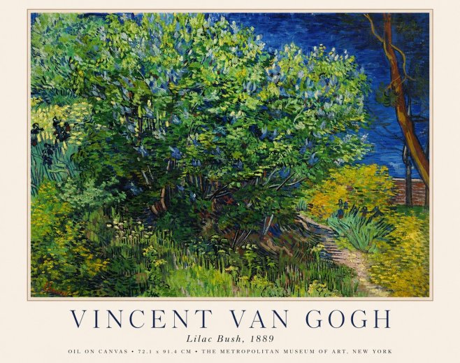 Van Gogh Lilac Bush No1 - Juliste