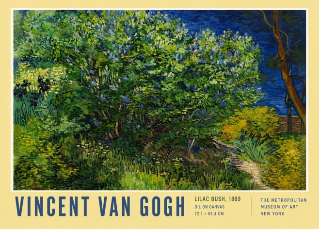 Van Gogh Lilac Bush No4 - Juliste