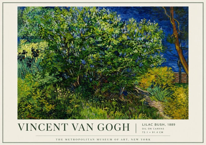 Van Gogh Lilac Bush No5 - Juliste