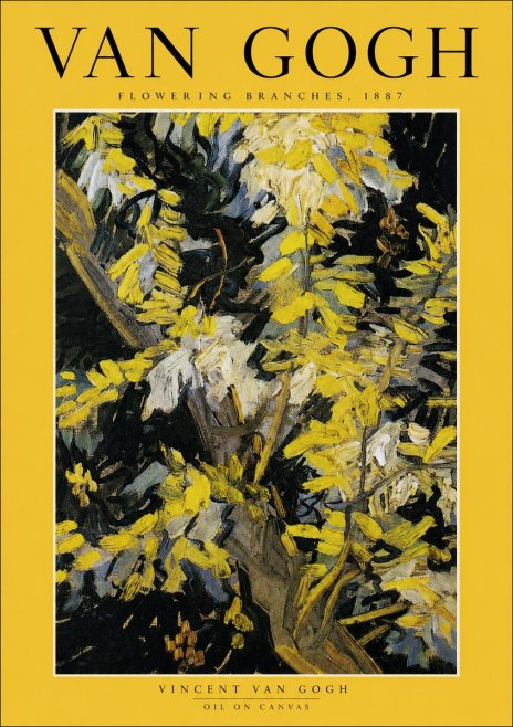 Van Gogh Flowering Branches, 1887 No2 - Juliste