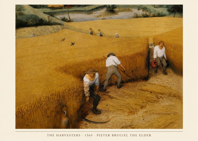Pieter Bruegel The Harvesters IV No4 - Juliste