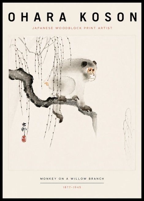Ohara Koson Monkey on a Willow Branch No3 - Juliste