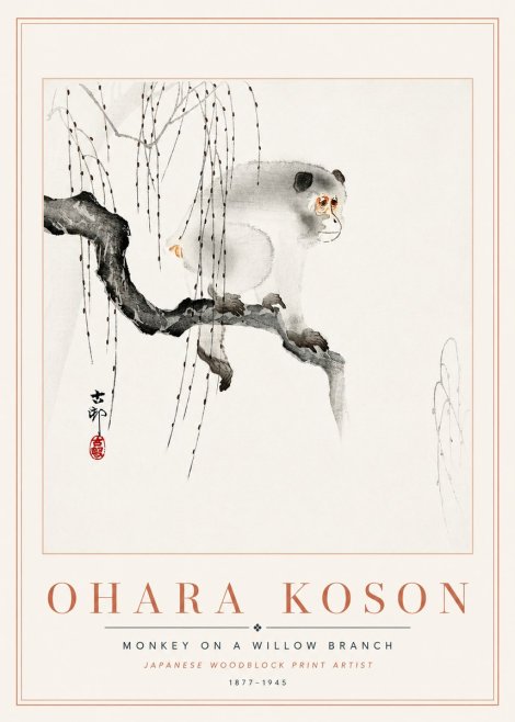 Ohara Koson Monkey on a Willow Branch No6 - Juliste
