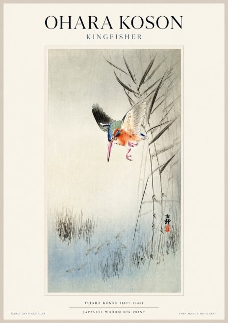 Ohara Koson Kingfisher No1 - Juliste