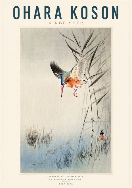 Ohara Koson Kingfisher No4 - Juliste