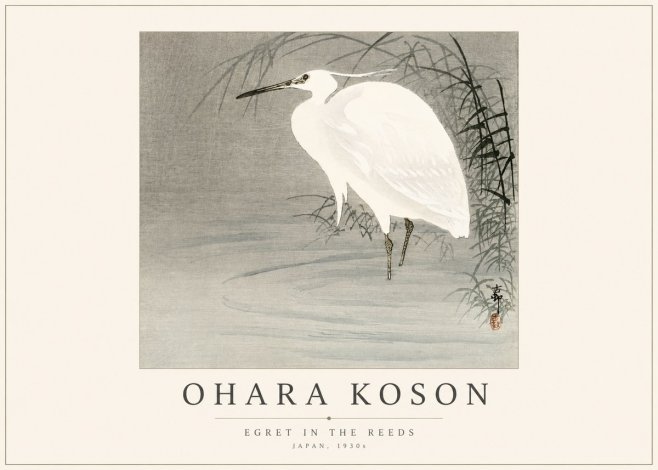 Ohara Koson Egret in the Reeds No1 - Juliste