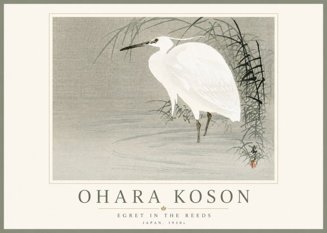 Ohara Koson Egret in the Reeds No5 - Juliste