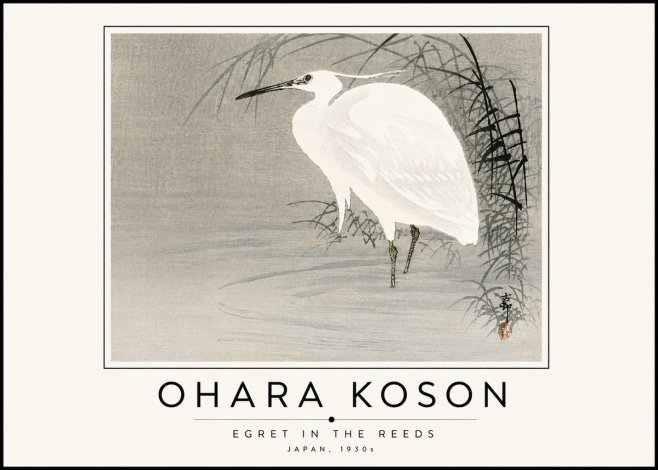 Ohara Koson Egret in the Reeds No6 - Juliste
