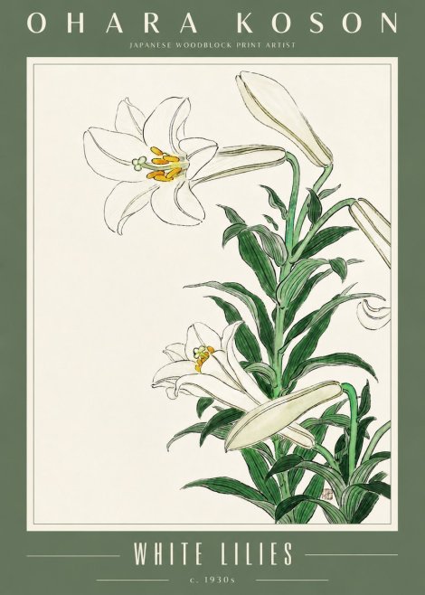 Ohara Koson White Lilies No4 - Juliste