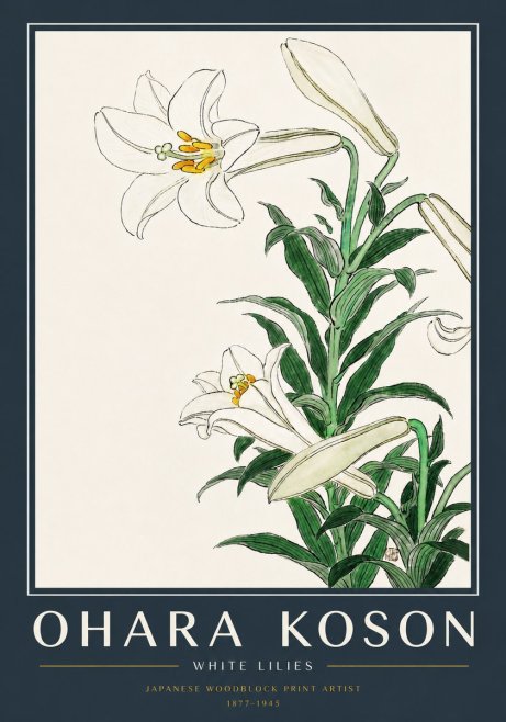 Ohara Koson White Lilies No5 - Juliste