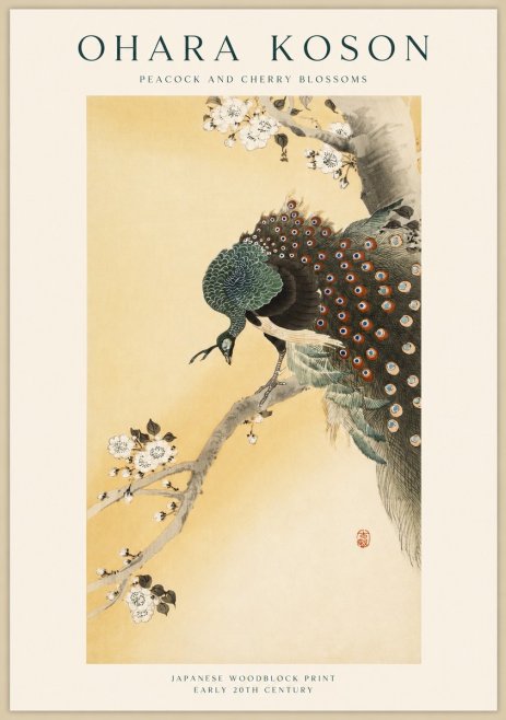 Ohara Koson Peacock and Cherry Blossoms No1 - Juliste