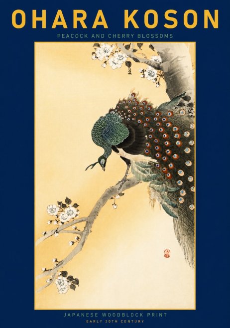 Ohara Koson Peacock and Cherry Blossoms No3 - Juliste