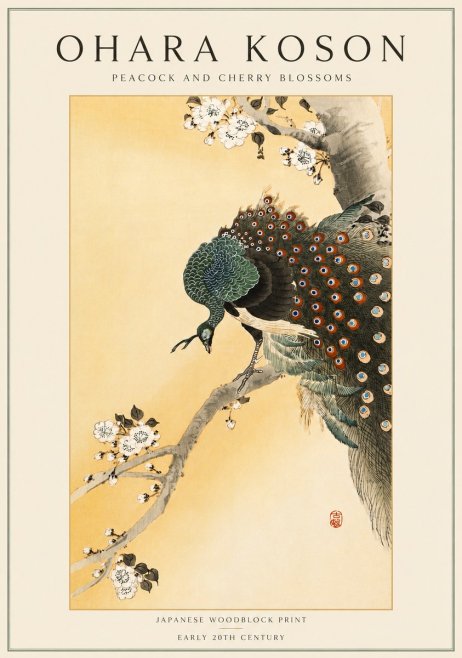 Ohara Koson Peacock and Cherry Blossoms No4 - Juliste