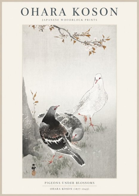 Ohara Koson Pigeons Under Blossoms No1 - Juliste