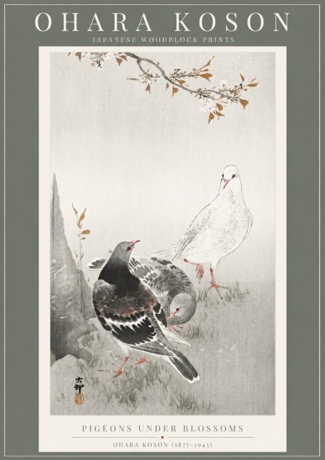 Ohara Koson Pigeons Under Blossoms No2 - Juliste