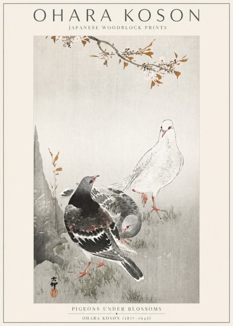 Ohara Koson Pigeons Under Blossoms No3 - Juliste