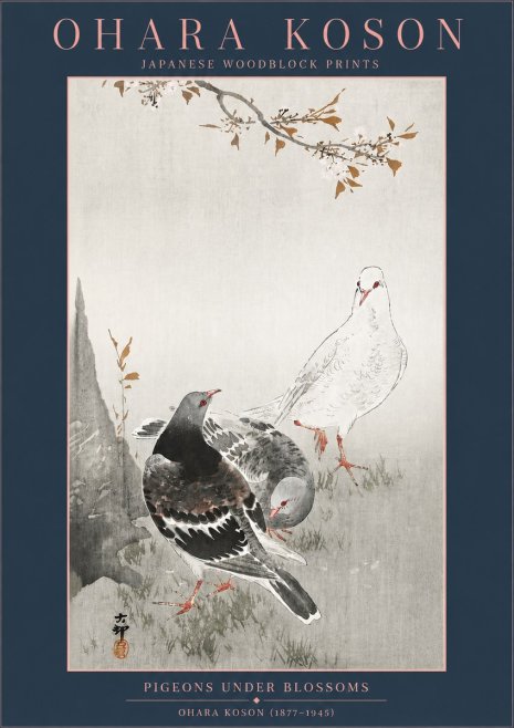 Ohara Koson Pigeons Under Blossoms No4 - Juliste