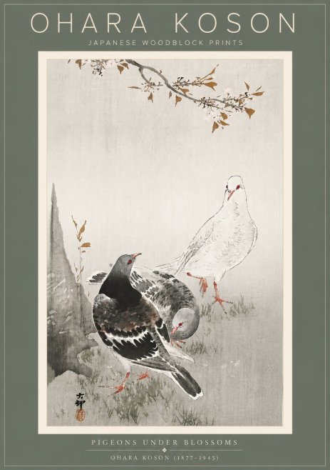 Ohara Koson Pigeons Under Blossoms No5 - Juliste