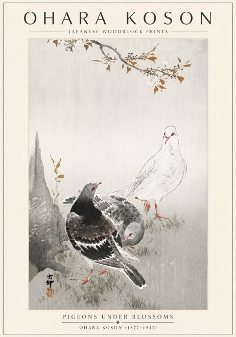 Ohara Koson Pigeons Under Blossoms No6 - Juliste