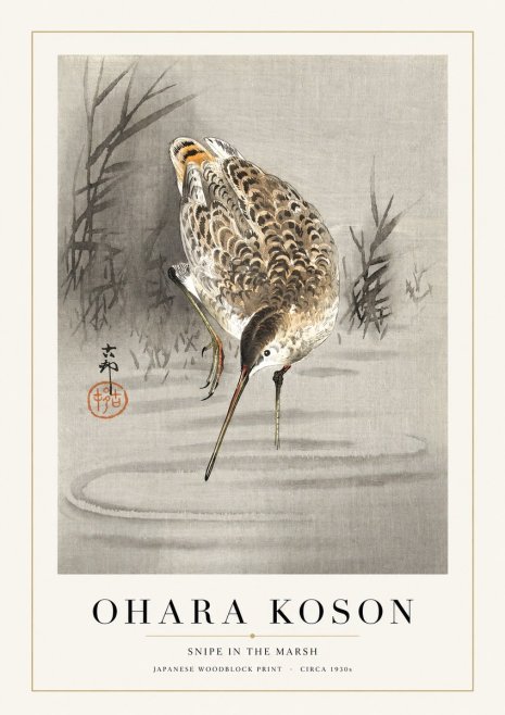 Ohara Koson Snipe in the Marsh No1 - Juliste