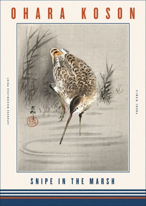 Ohara Koson Snipe in the Marsh No3 - Juliste