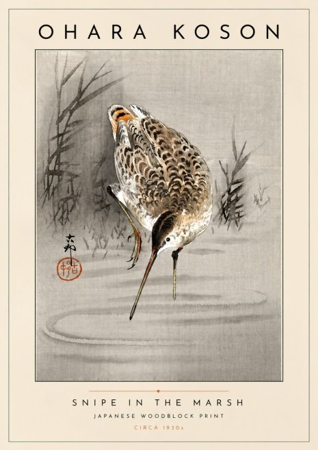 Ohara Koson Snipe in the Marsh No4 - Juliste