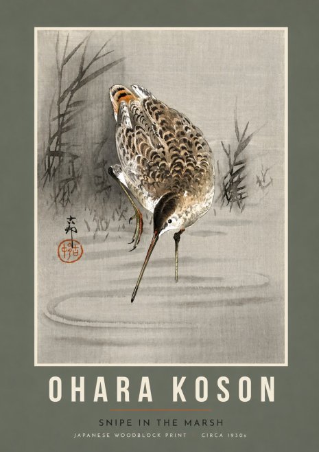 Ohara Koson Snipe in the Marsh No5 - Juliste