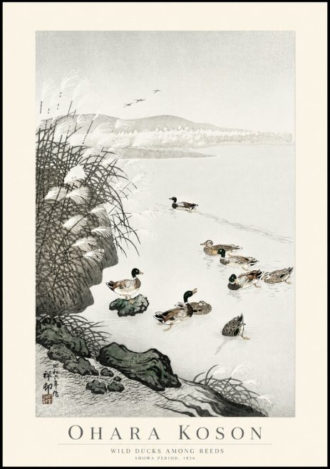 Ohara Koson Wild Ducks Among Reeds No1 - Juliste