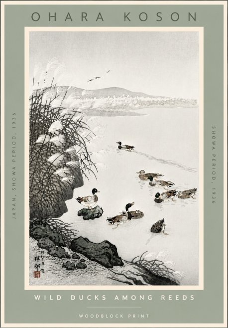 Ohara Koson Wild Ducks Among Reeds No4 - Juliste