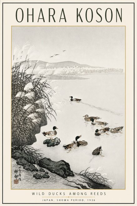 Ohara Koson Wild Ducks Among Reeds No5 - Juliste