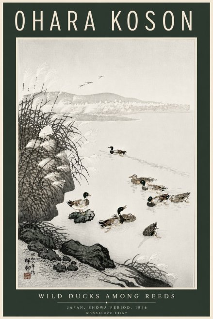Ohara Koson Wild Ducks Among Reeds No6 - Juliste
