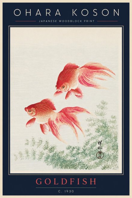 Ohara Koson Goldfish No5 - Juliste