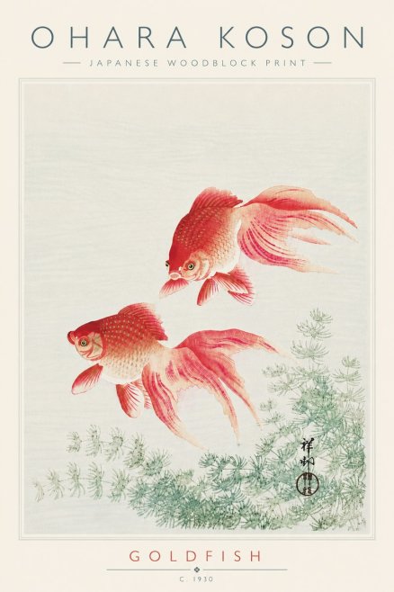 Ohara Koson Goldfish No6 - Juliste