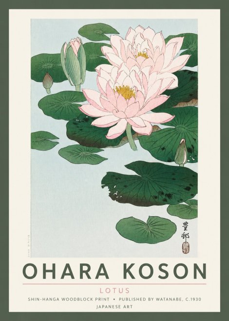 Ohara Koson Lotus I No2 - Juliste