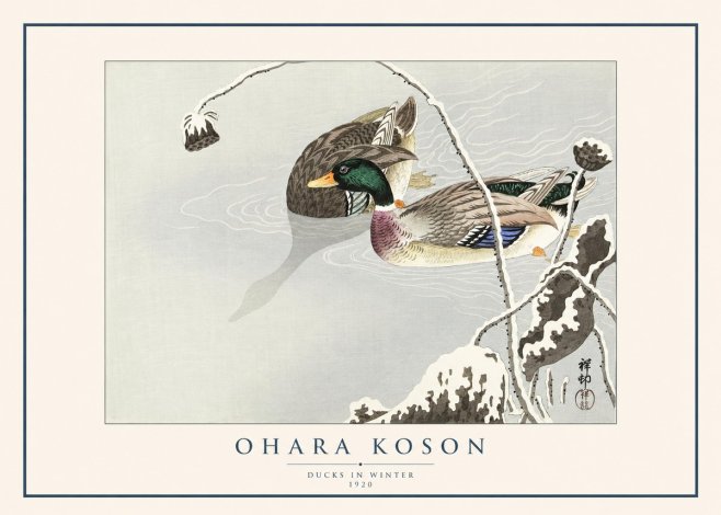 Ohara Koson Ducks in Winter No1 - Juliste