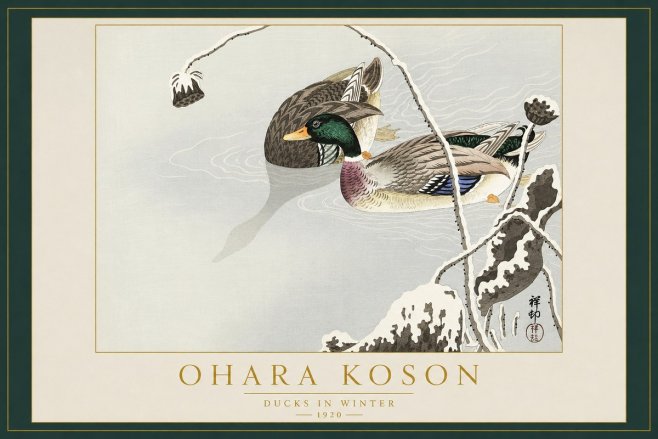 Ohara Koson Ducks in Winter No2 - Juliste