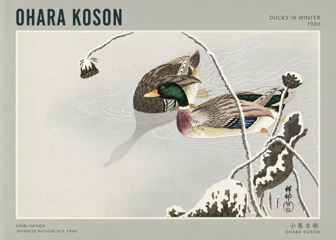 Ohara Koson Ducks in Winter No3 - Juliste