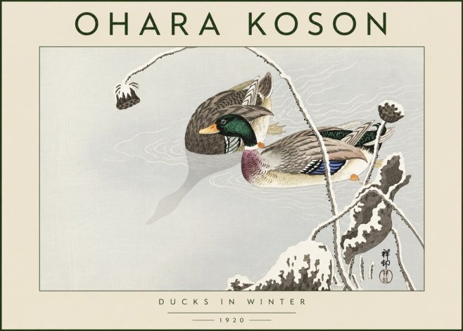 Ohara Koson Ducks in Winter No4 - Juliste