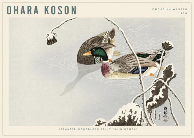 Ohara Koson Ducks in Winter No6 - Juliste