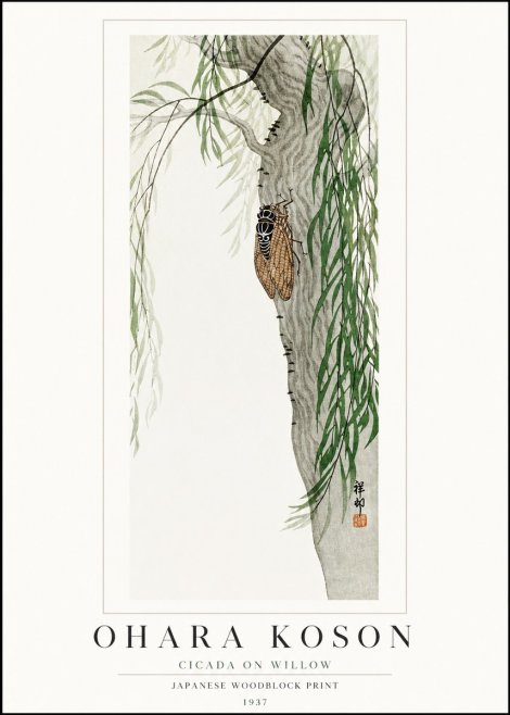 Ohara Koson Cicada on Willow No1 - Juliste