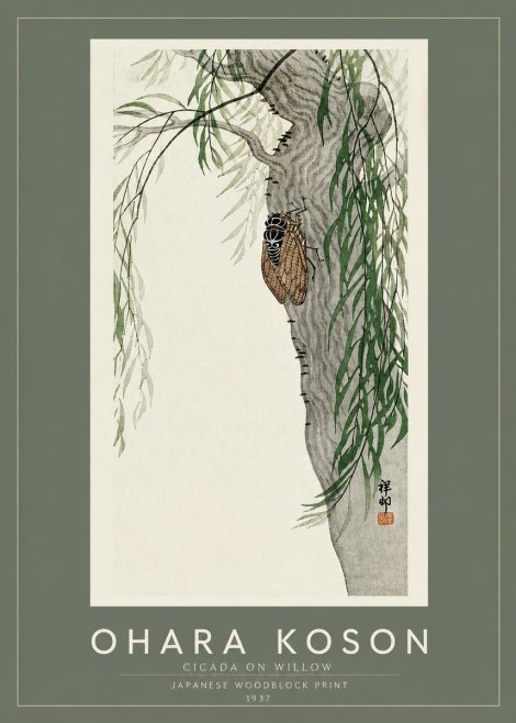 Ohara Koson Cicada on Willow No2 - Juliste