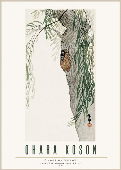 Ohara Koson Cicada on Willow No3 - Juliste