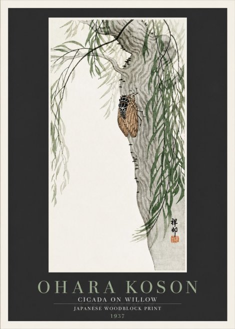 Ohara Koson Cicada on Willow No4 - Juliste