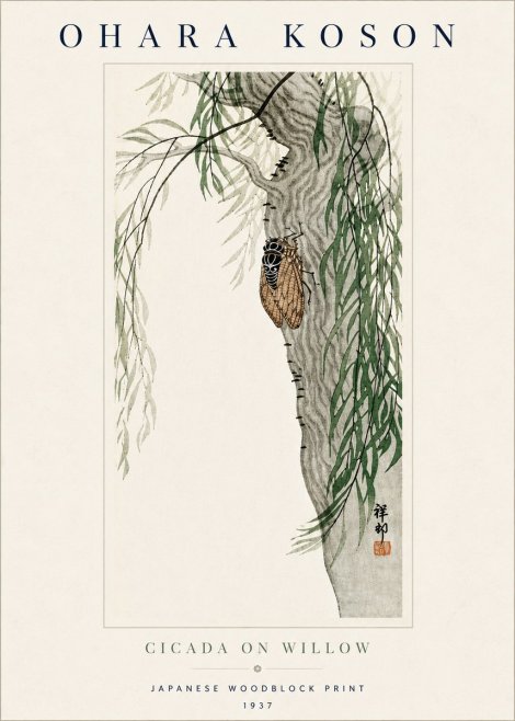 Ohara Koson Cicada on Willow No5 - Juliste