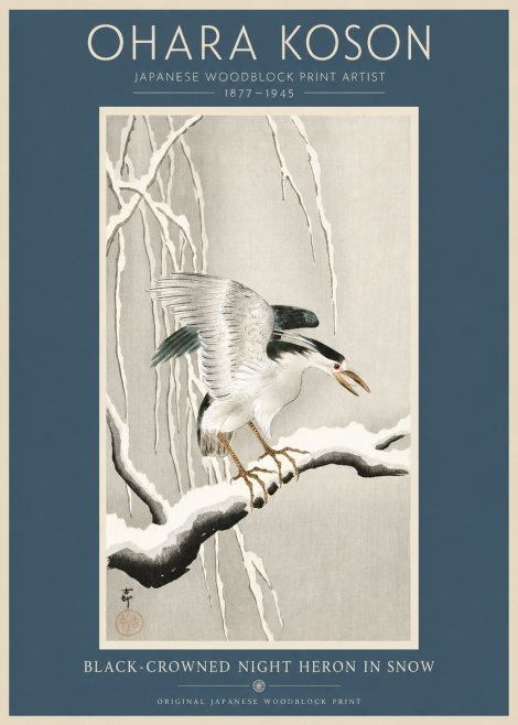 Ohara Koson Black-crowned Night Heron in Snow No2 - Juliste