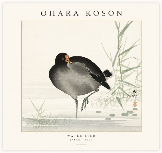 Ohara Koson Water Bird No1 - Juliste