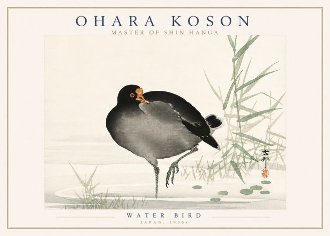 Ohara Koson Water Bird No3 - Juliste