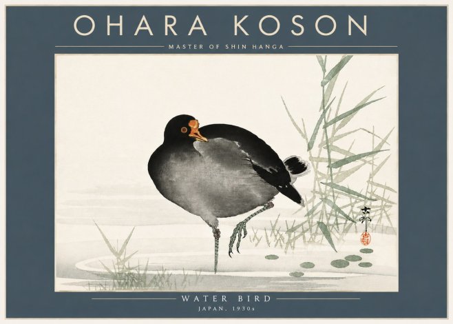 Ohara Koson Water Bird No5 - Juliste