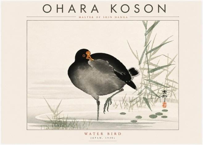 Ohara Koson Water Bird No6 - Juliste